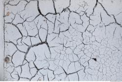 Cracked Soil